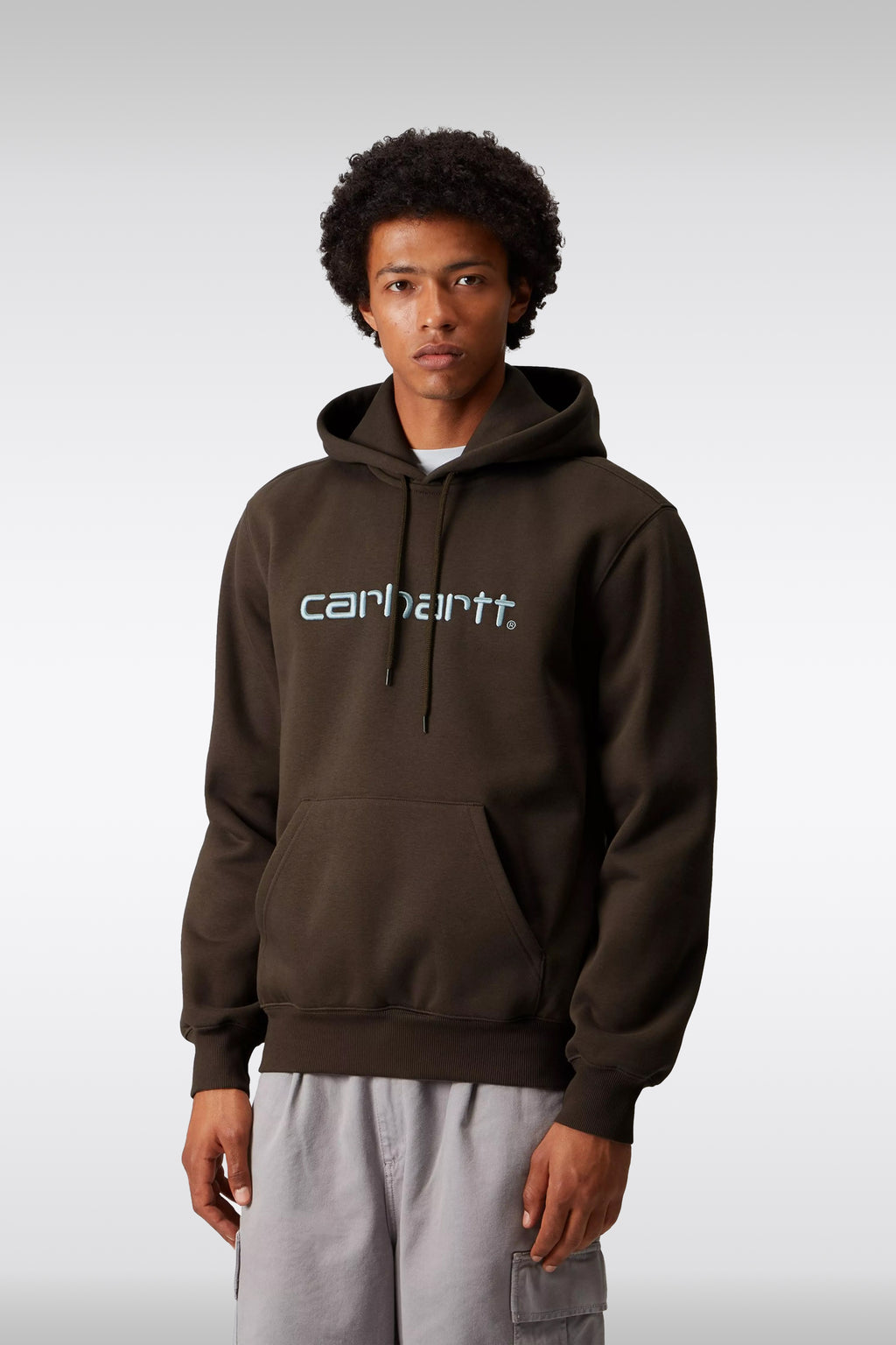 alt-image__Felpa-marrone-con-maxi-logo-ricamato-celeste-al-petto---Hooded-Carhartt-Sweatshirt