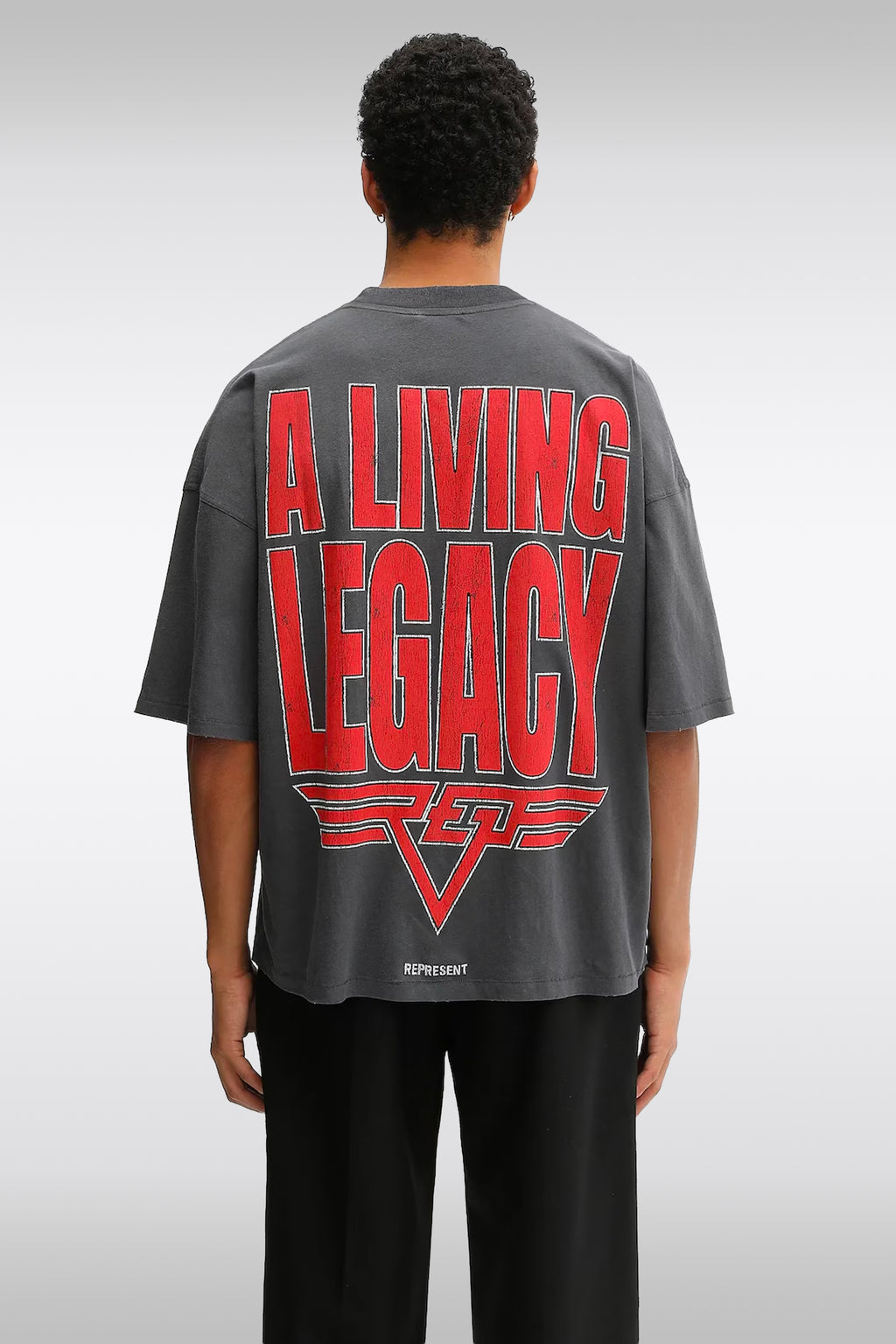 alt-image__REVERSIBLE-LIVING-LEGACY-FALCON-T-SHIRT-Grigio