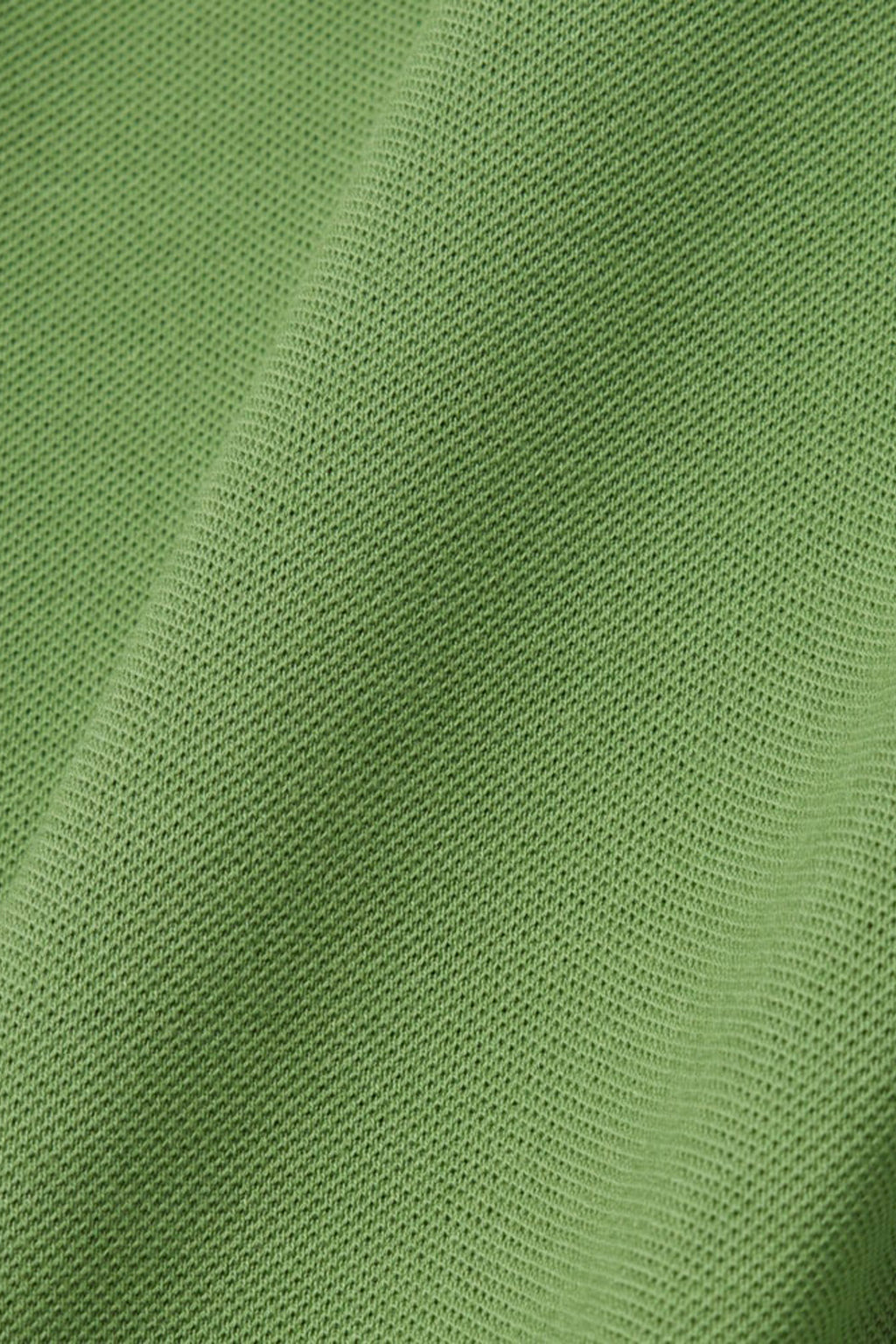 alt-image__POLO-Verde