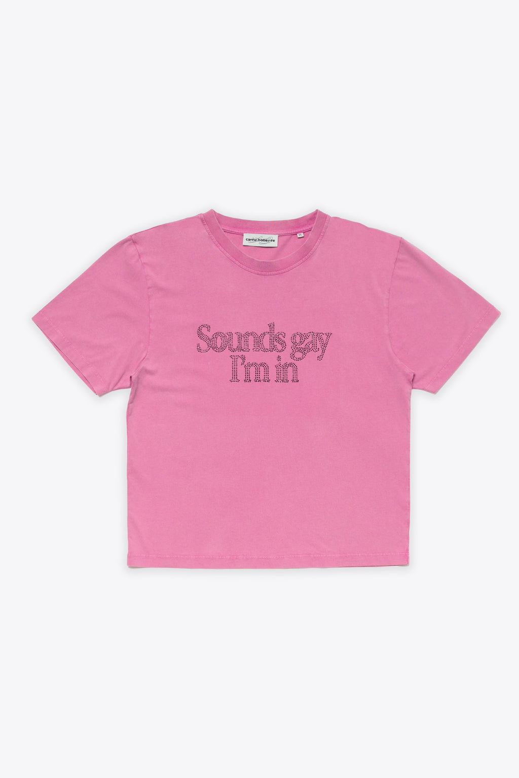 alt-image__SOUNDS-GAY,I'M-IN-BABY!-Rosa