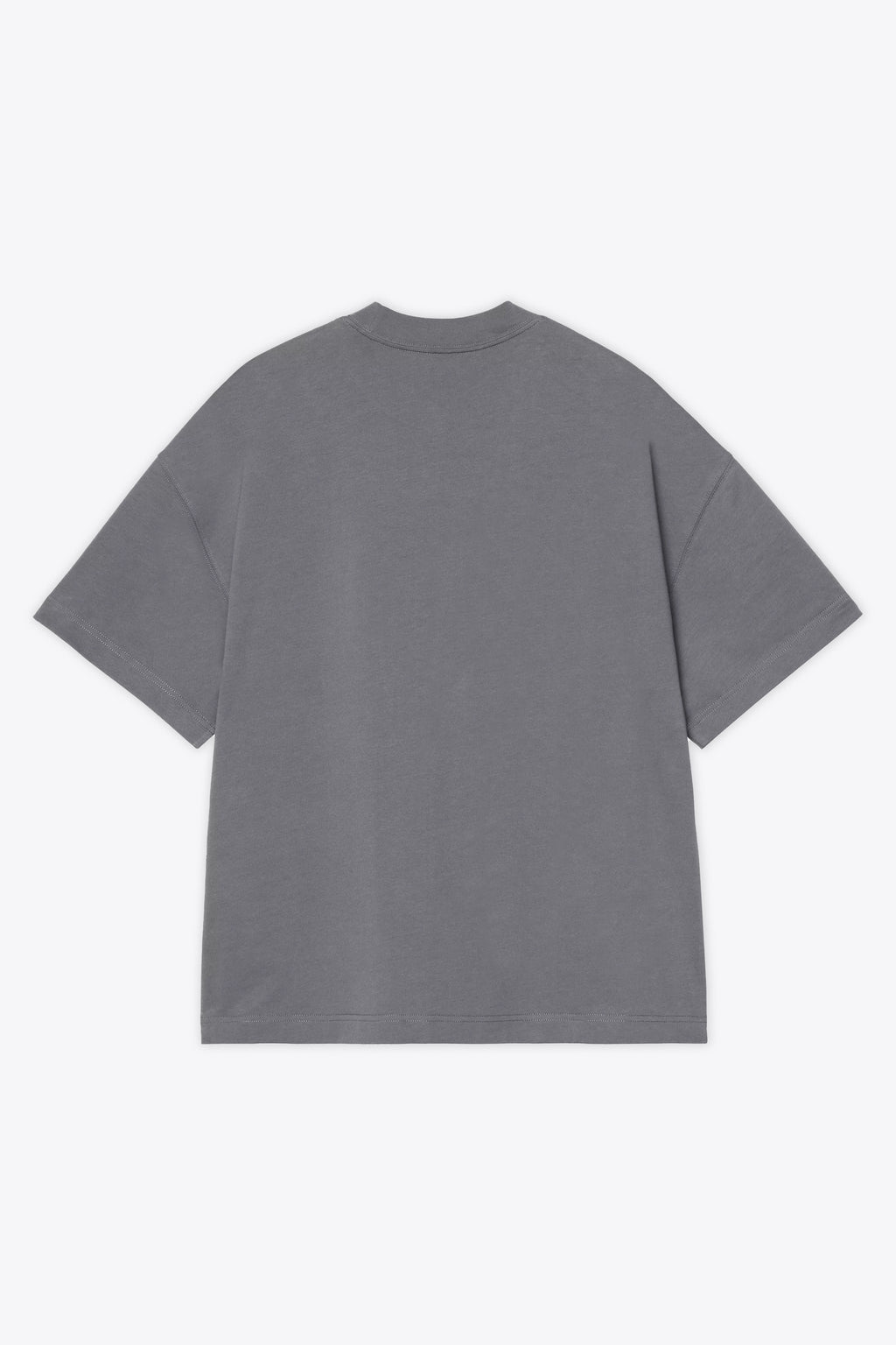 alt-image__T-shirt-grigia-in-cotone-con-stampa-grafica-frontale---S/S-Pennon-T-Shirt
