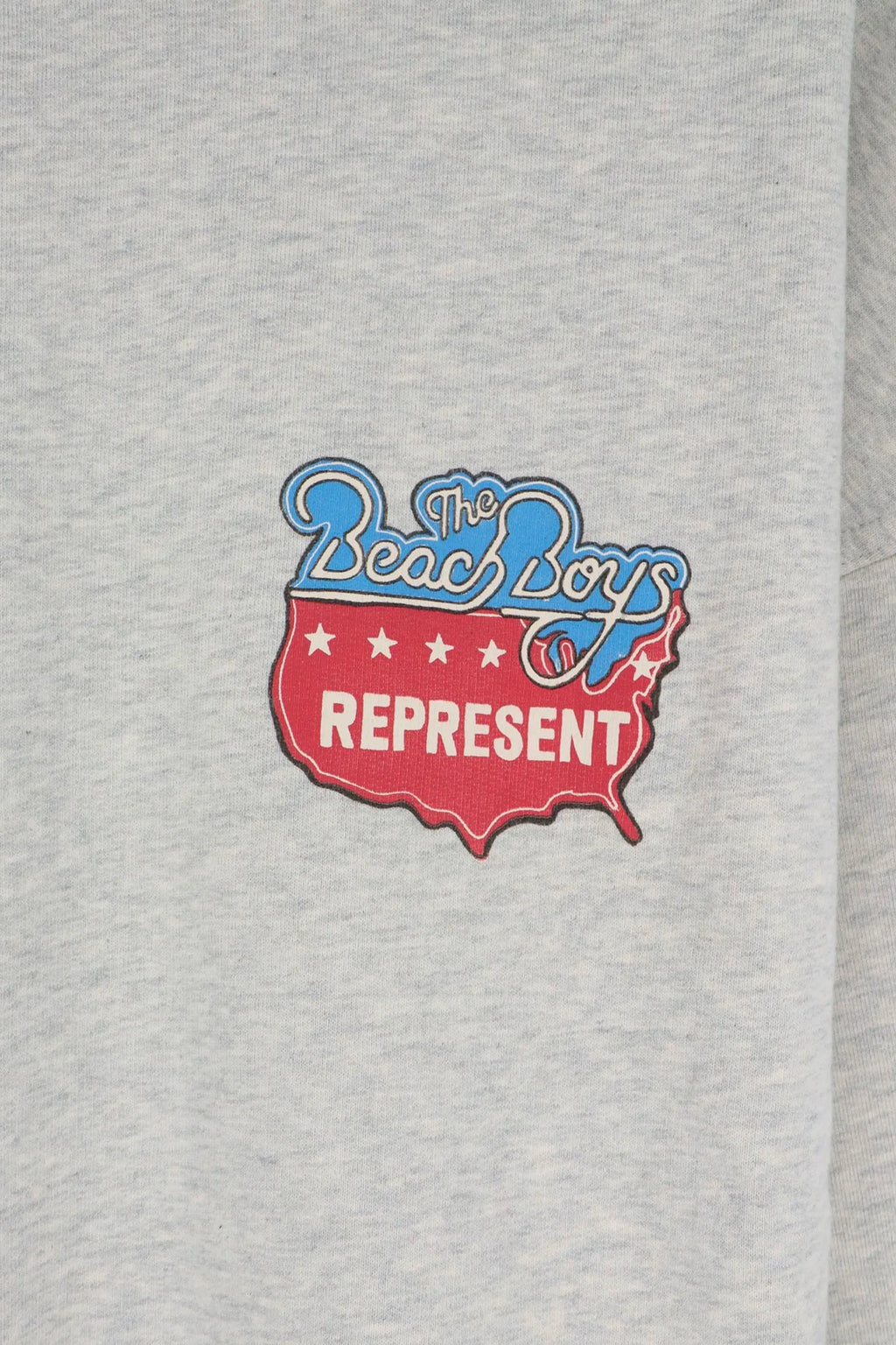 alt-image__Felpa-in-cotone-grigio-melange-in-collaborazione-con-Beach-Boys---Beach-Boys-Americas-Band