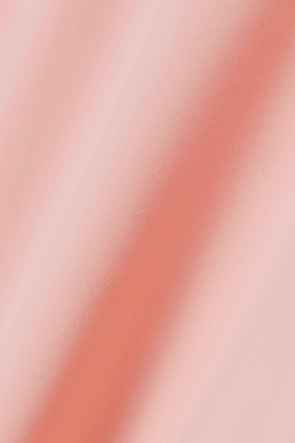 alt-image__COSTUME-Rosa