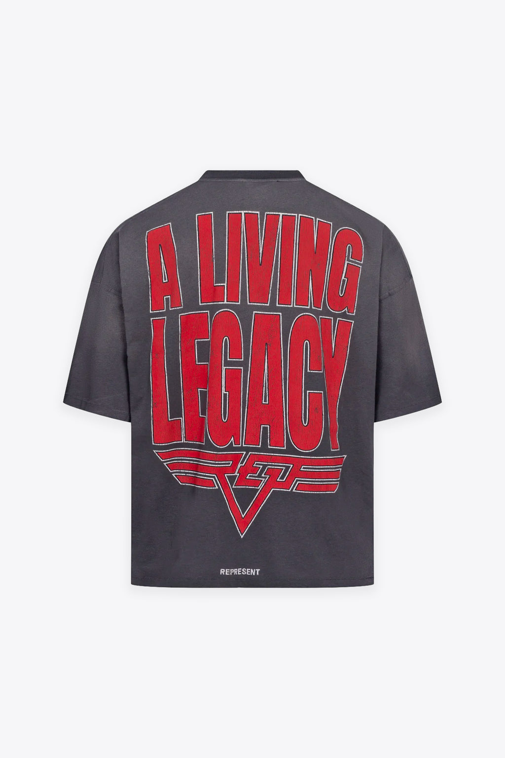 alt-image__REVERSIBLE-LIVING-LEGACY-FALCON-T-SHIRT-Grigio