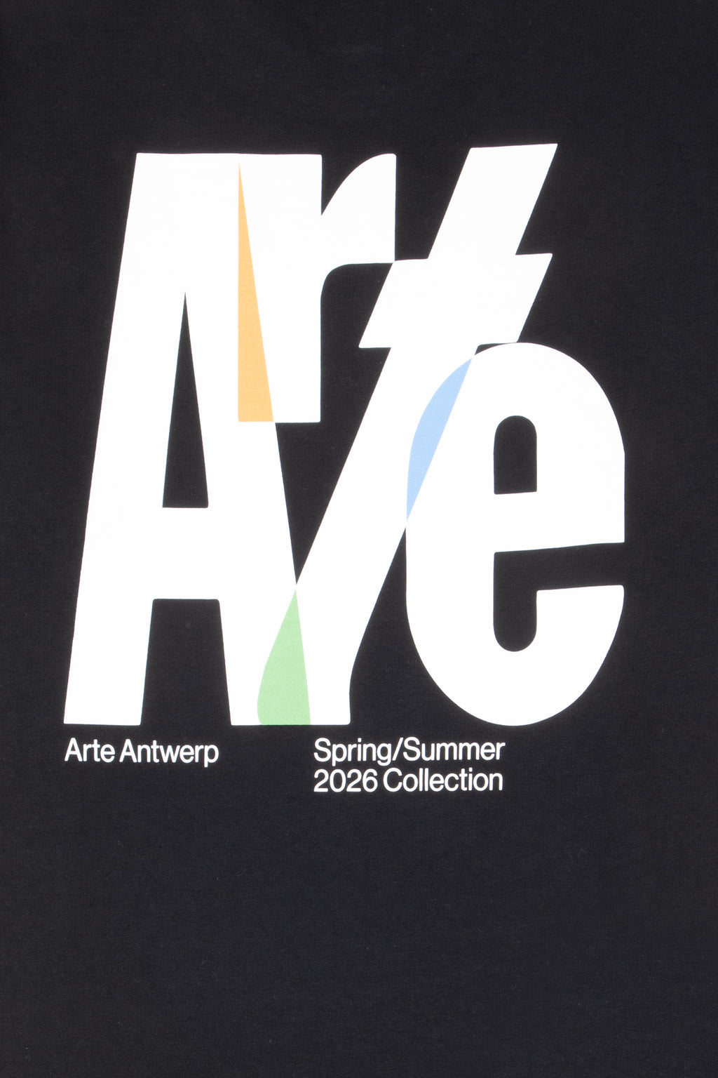 alt-image__T-shirt-nera-con-logo-grafico-sul-retro---Big-Logo-Back-T-shirt