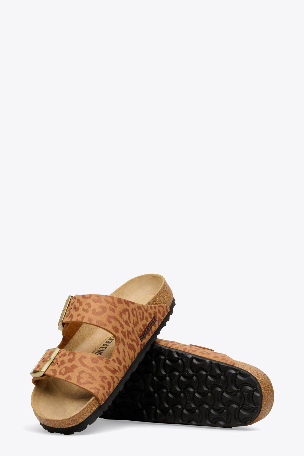 alt-image__leopard-Noce