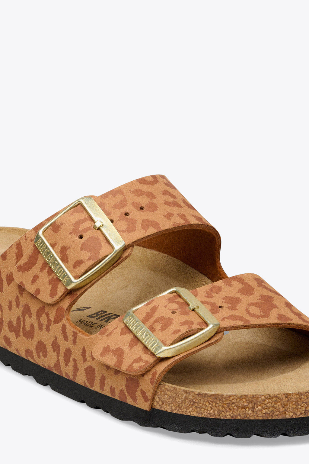 alt-image__leopard-Noce
