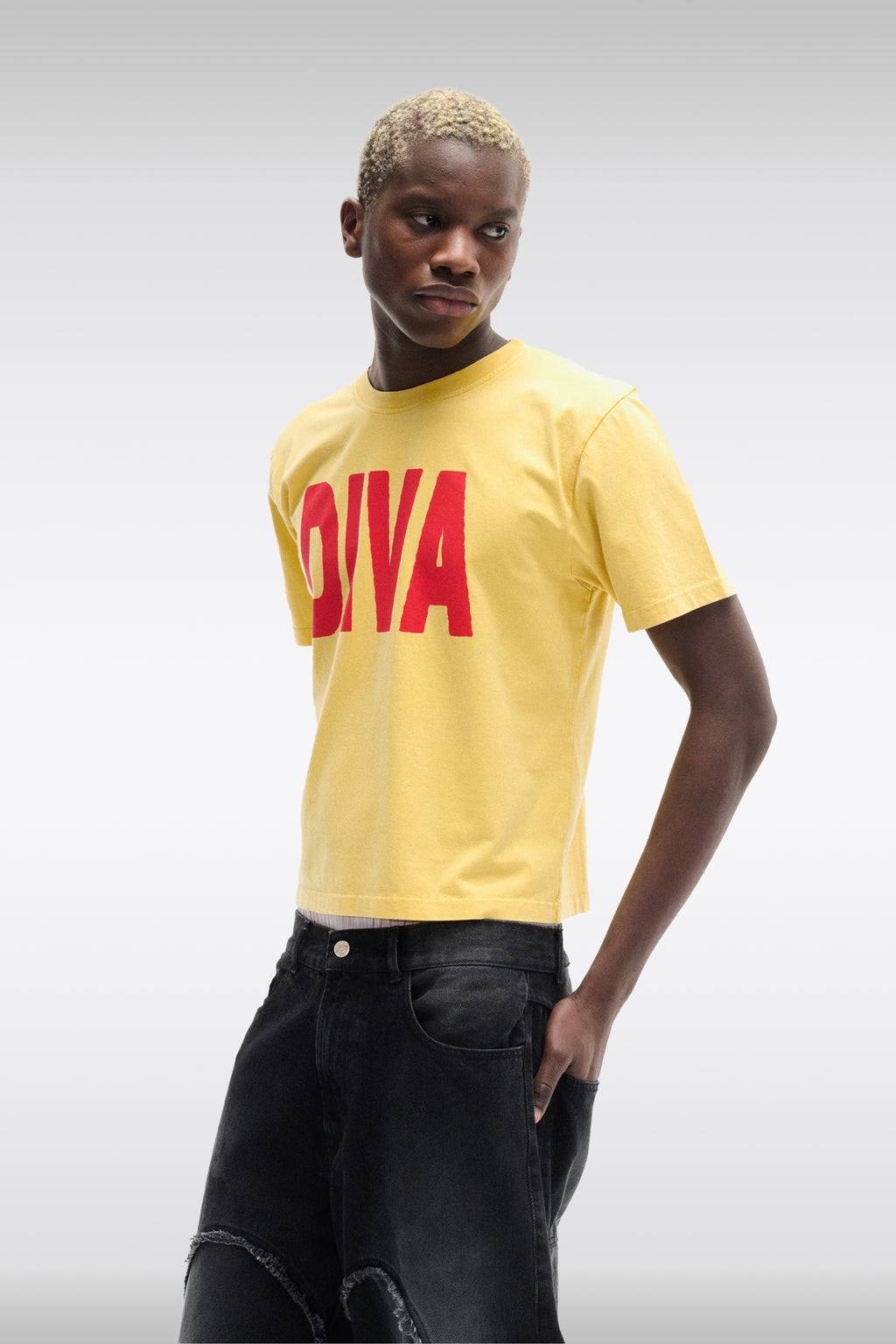 alt-image__DIVA-Giallo