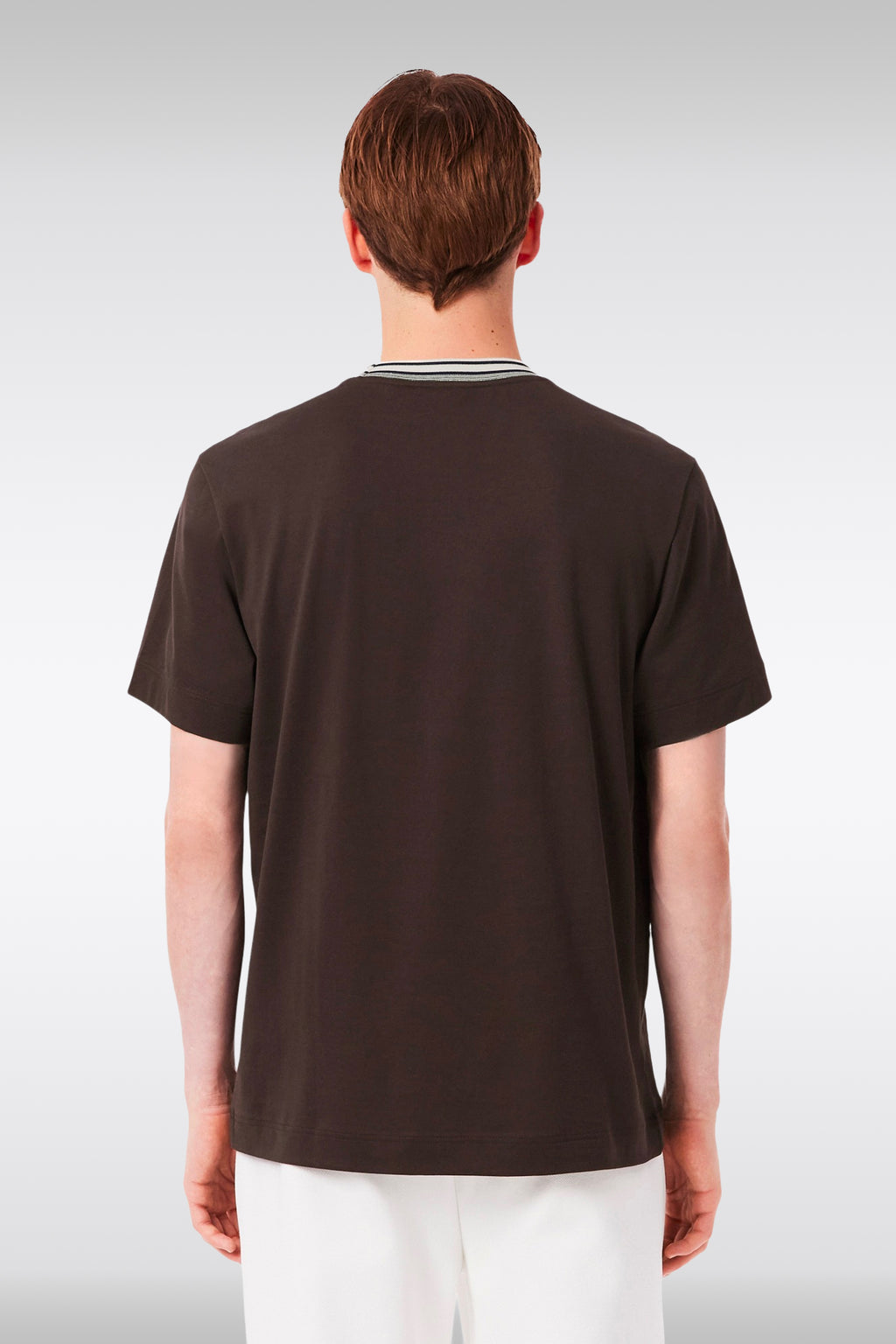 alt-image__T-shirt-in-cotone-marrone-con-colletto-a-righe