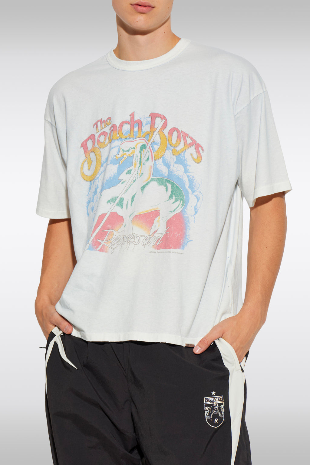 alt-image__T-shirt-in-cotone-celeste-chiaro-in-collaborazione-con-i-Beach-Boys---Beach-Boys-Endless-Summer-T-shirt