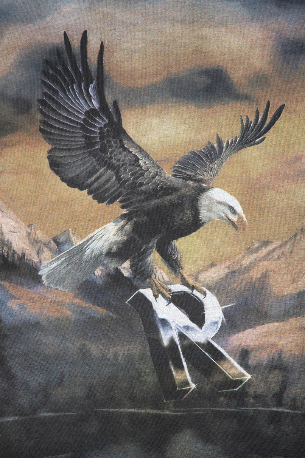 alt-image__T-shirt-in-cotone-nero-lavato-con-grafica-frontale---Chrome-Flight-T-shirt