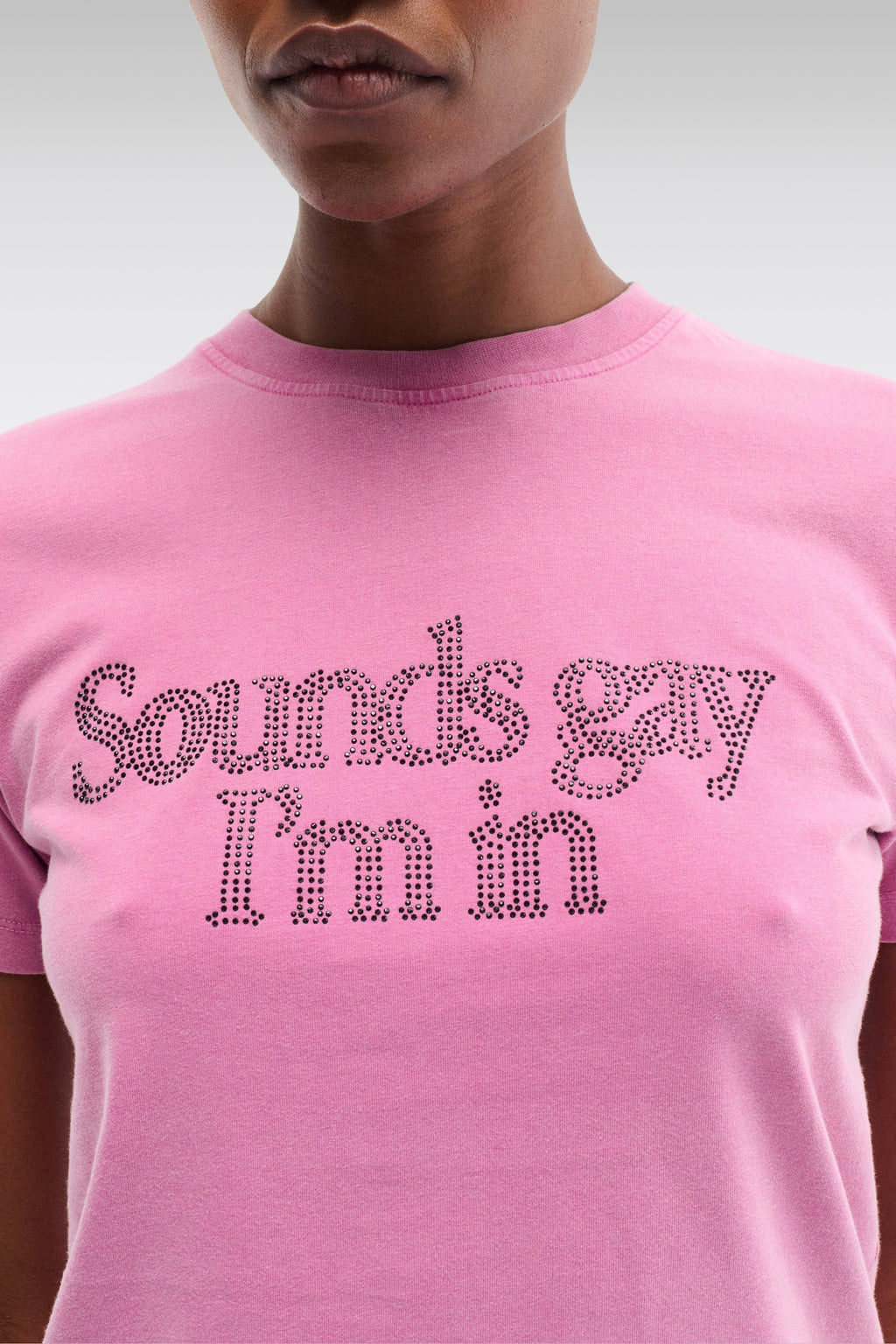 alt-image__SOUNDS-GAY,I'M-IN-BABY!-Rosa
