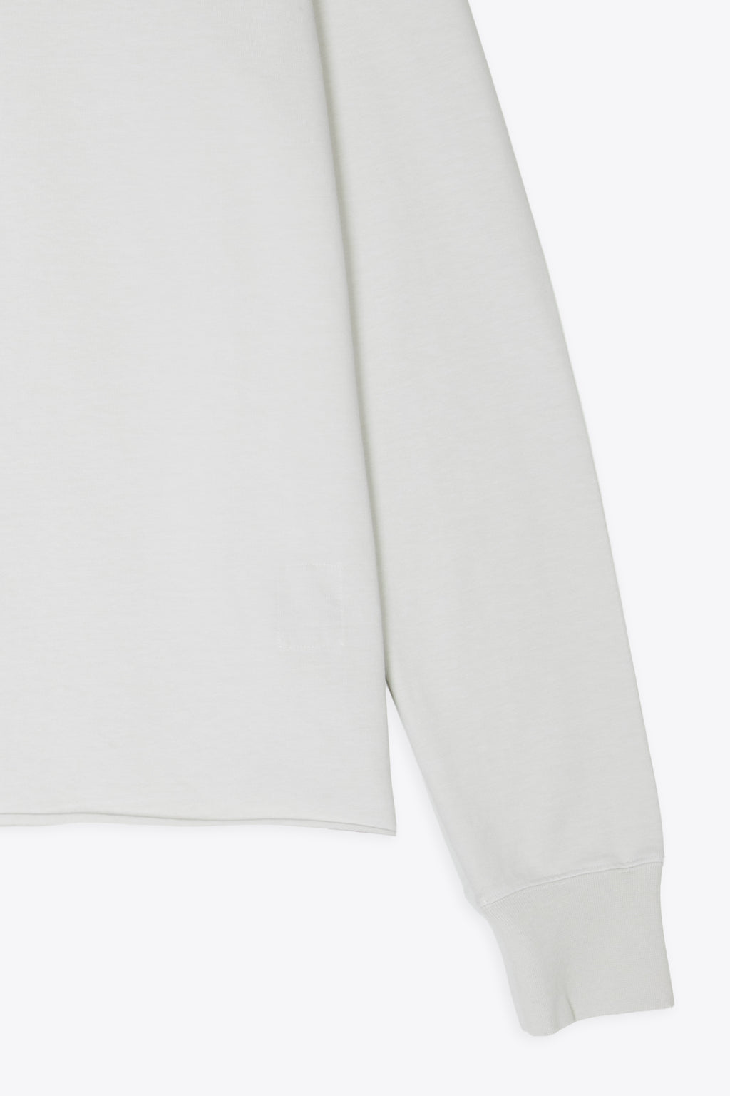 alt-image__Felpa-leggera-in-cotone-color-ghiaccio-con-fondo-a-taglio-vivo---Crewneck-Sweat