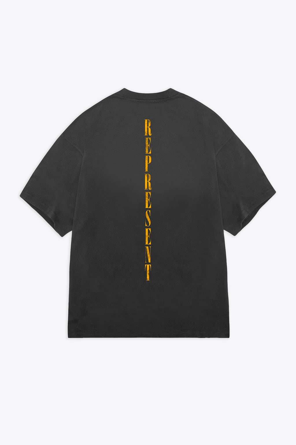 alt-image__T-shirt-in-cotone-nero-lavato-con-stampa-grafica-e-logo----Reborn-T-Shirt